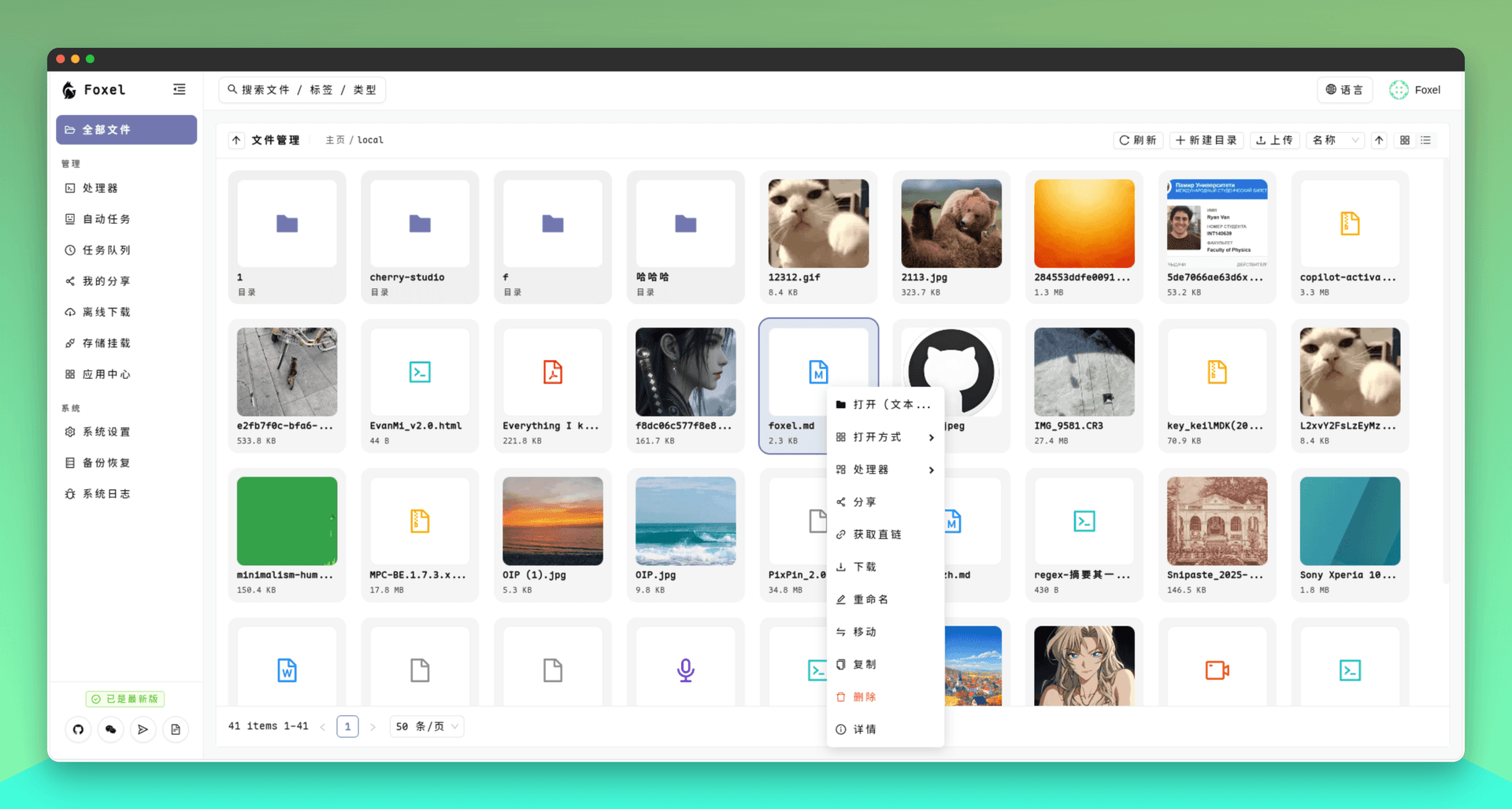 Foxel App interface